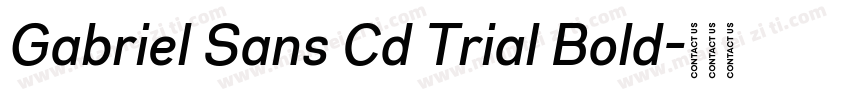 Gabriel Sans Cd Trial Bold字体转换